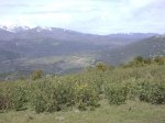 DSC00742..jpg