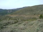 DSC00726..jpg