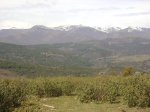 DSC00741..jpg