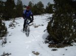 IMG_1133..JPG