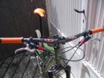 Heckler 013..JPG
