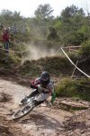 IMG_3876..jpg