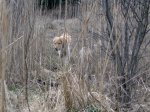 IMG_2412..jpg
