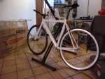 visp2..jpg