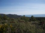 P3280501..jpg