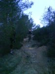 DSC00417..jpg
