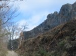 IMG_9293..JPG