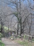 IMG_9291..JPG