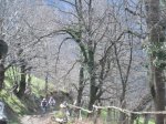 IMG_9292..JPG