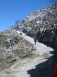 IMG_9313..JPG