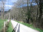 IMG_9266..JPG