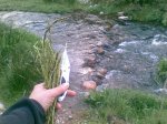 Imagen098..jpg
