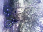 Fotos-0028..jpg