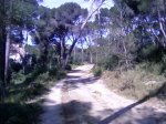 Fotos-0029..jpg