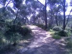 Fotos-0030..jpg