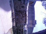 Fotos-0023..jpg