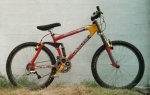kona_stab_1999_152&.jpg