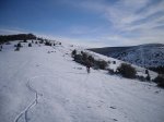 SDC11037..JPG