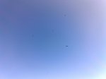 03042010171..jpg