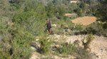 IMG_0429..jpg