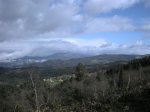DSCN5248 (Large)..JPG