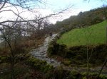 DSCN4478 (Large)..JPG