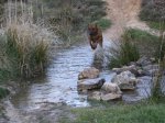 IMG_9720b_resize..jpg