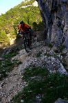 cazorla048_511x768&.jpg