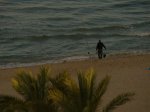 DSC02730..JPG