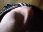 IMGP0904..jpg
