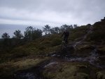 IMGP0898..jpg