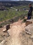 04042010168..jpg