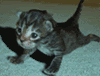 sigpic8078_2.gif