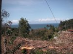 PICT0123..jpg