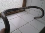 05042010013..jpg