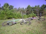 PIC_0051..JPG