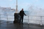 IMG_1385..jpg