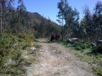 05042010_021..jpg
