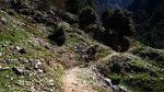 cazorla083_1024x57&.jpg