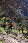 cazorla021_1024x68&.jpg