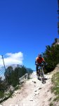 cazorla017_432x768&.jpg