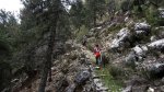cazorla041_1024x57&.jpg