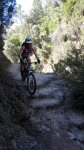 cazorla091_432x768&.jpg