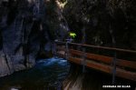 cazorla022_1024x68&.jpg