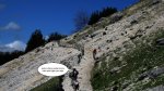cazorla068_1024x57&.jpg