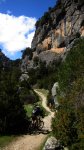 cazorla056_432x768&.jpg