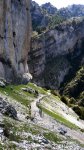 cazorla014_432x768&.jpg