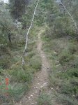 Dissabte Sant 052&#32.jpg