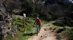 cazorla087_1024x57&.jpg