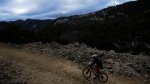 cazorla033_1024x57&.jpg
